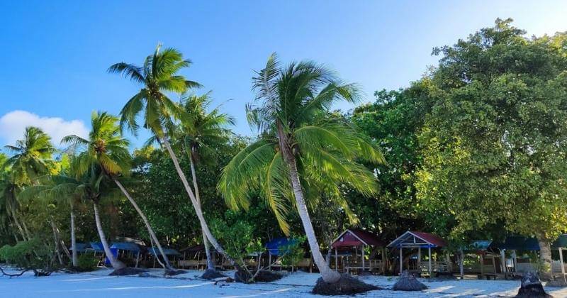 google.com/maps/Karina Arti Endaryani